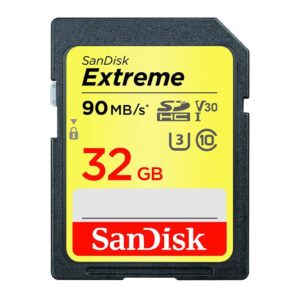 SanDisk Extreme 32 GB SDXC Class 10 90 MB/s Memory Card Compatible with Camera, Computer (SDSDXVE-032G-GNCIN)